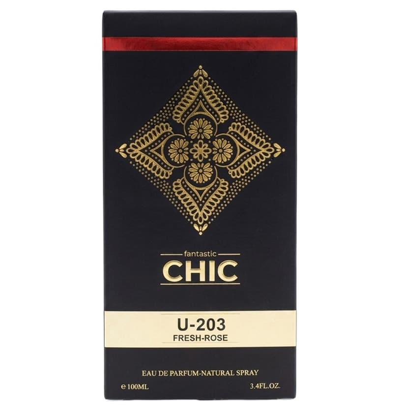 Fantastic Chic Warm Spicy Perfume 100ml
