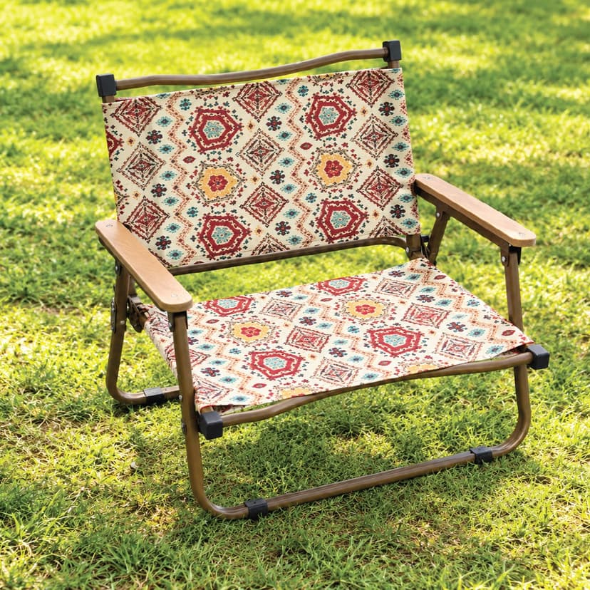 Beach Chair