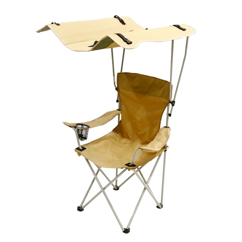 Beach Chair with Umbrella