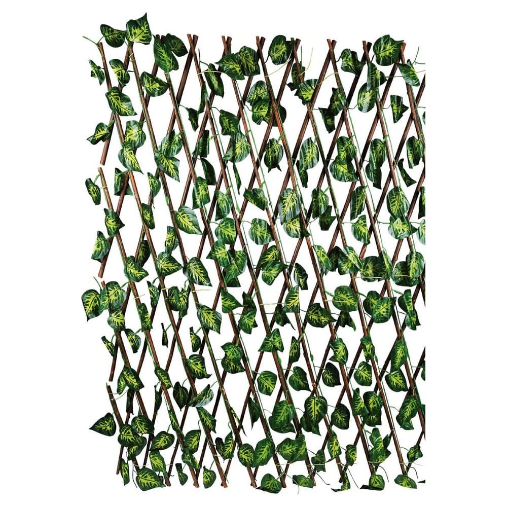 Product Image 5601000081591 (Slot 1)
