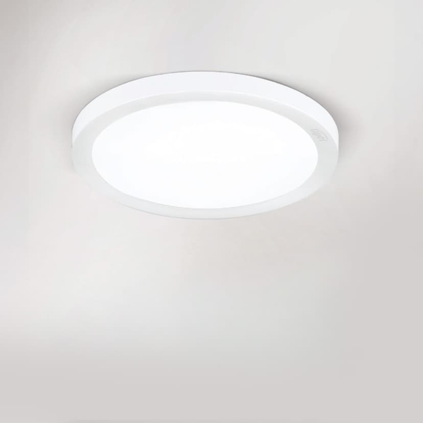Surface Down Light 40W White