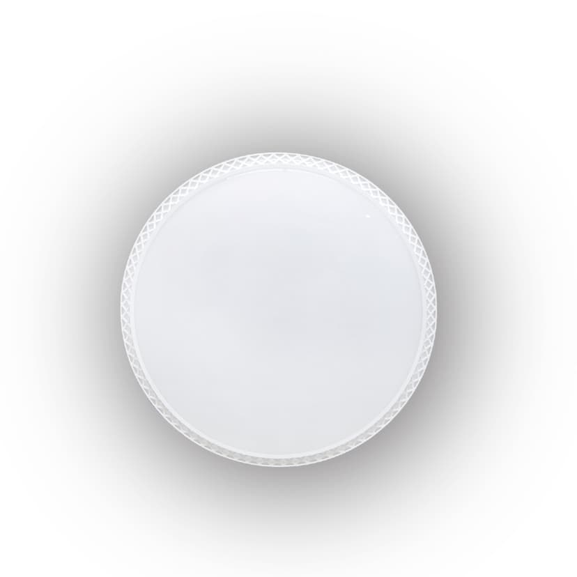 Plastic Ceiling Light