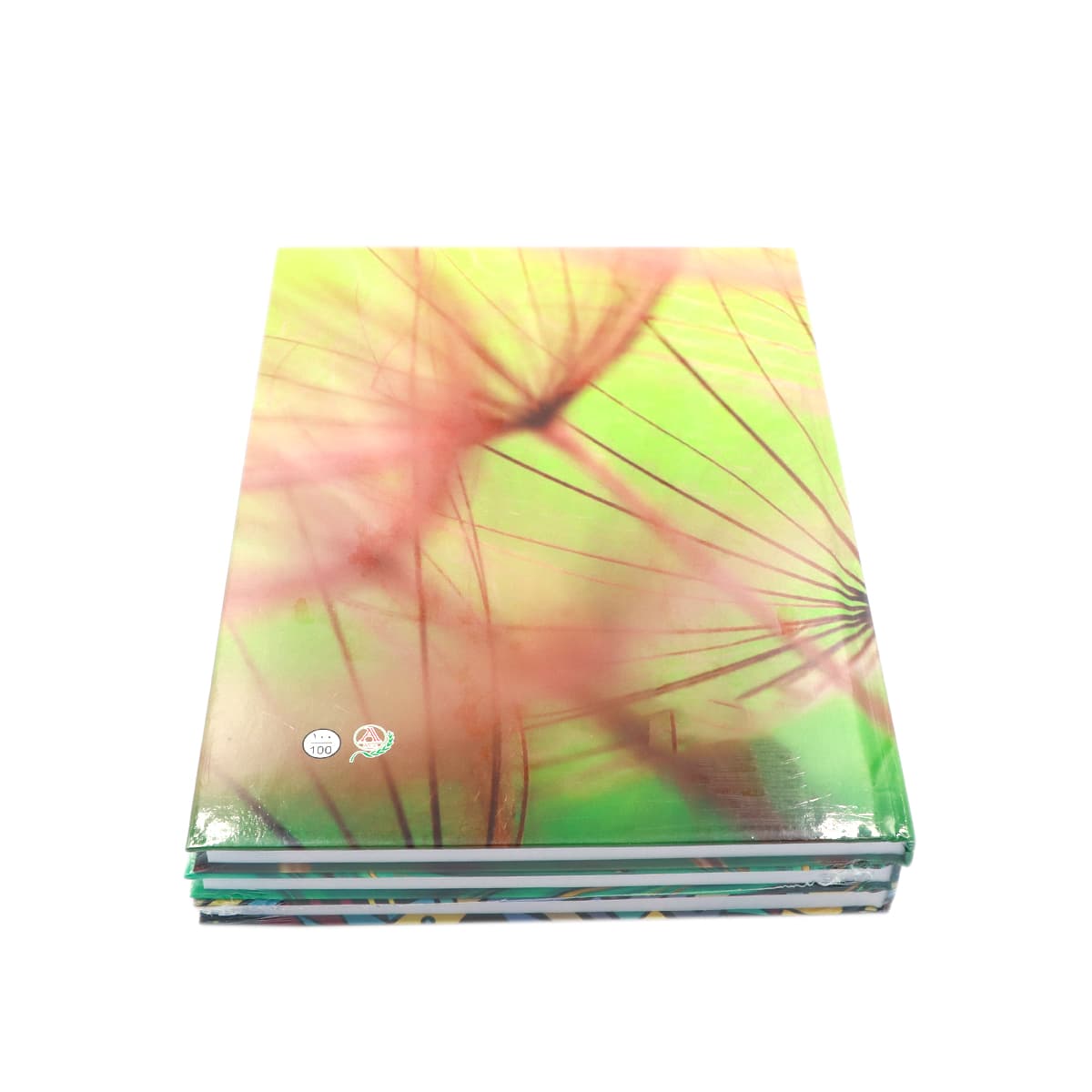 100 Sheets Hard Cover 18X25