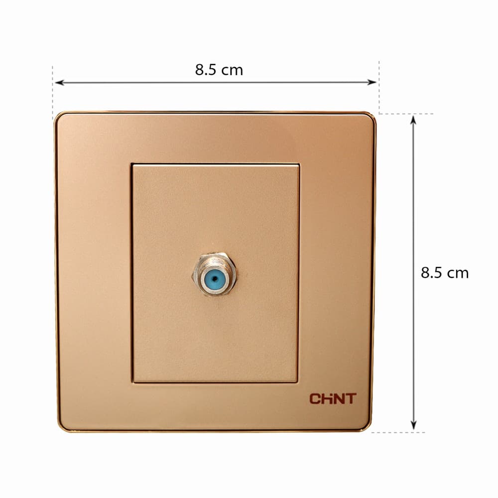 Switch 1G Sat Socket-Gd 10Y