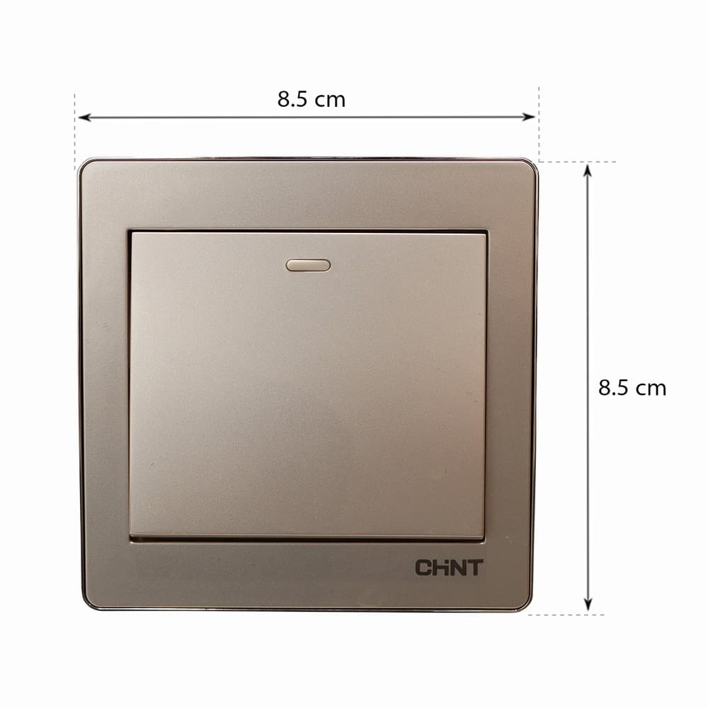 Switch 1G1W 16A 250V-Ch 10Y