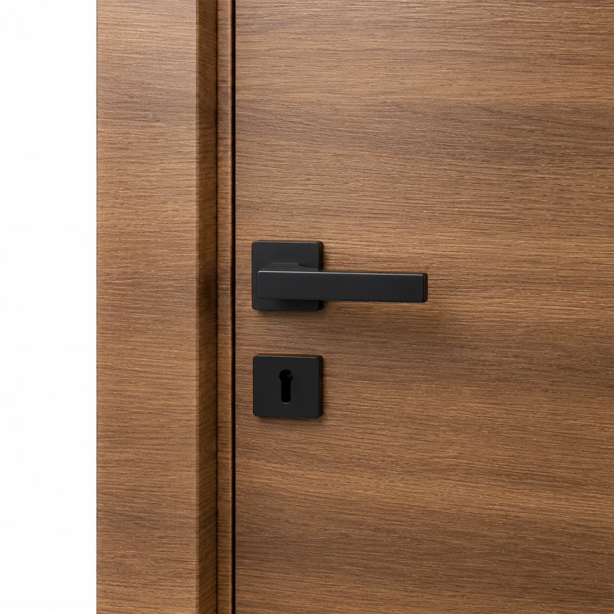 WPC Door