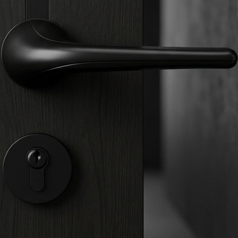 Kerry Door Lock Set