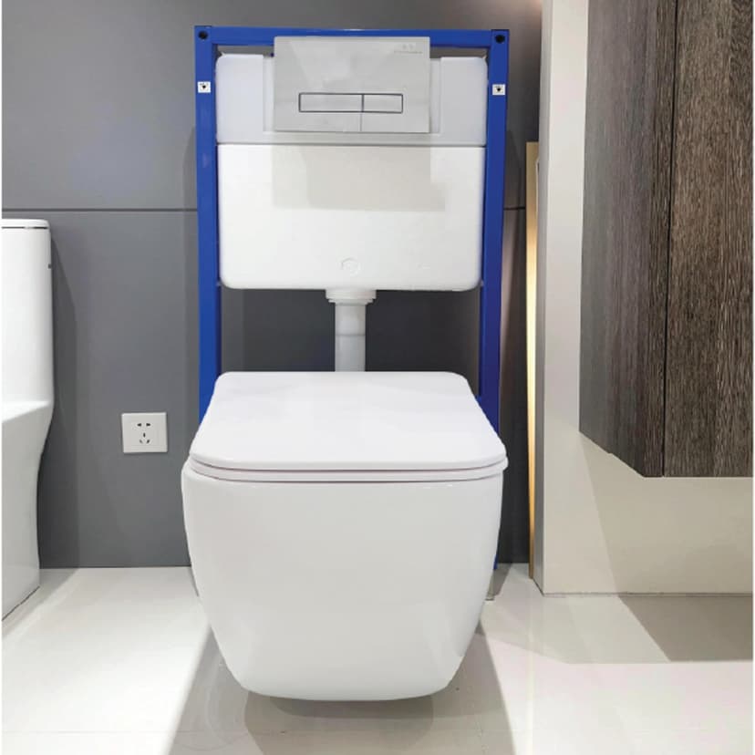 Concealed Tank with WC