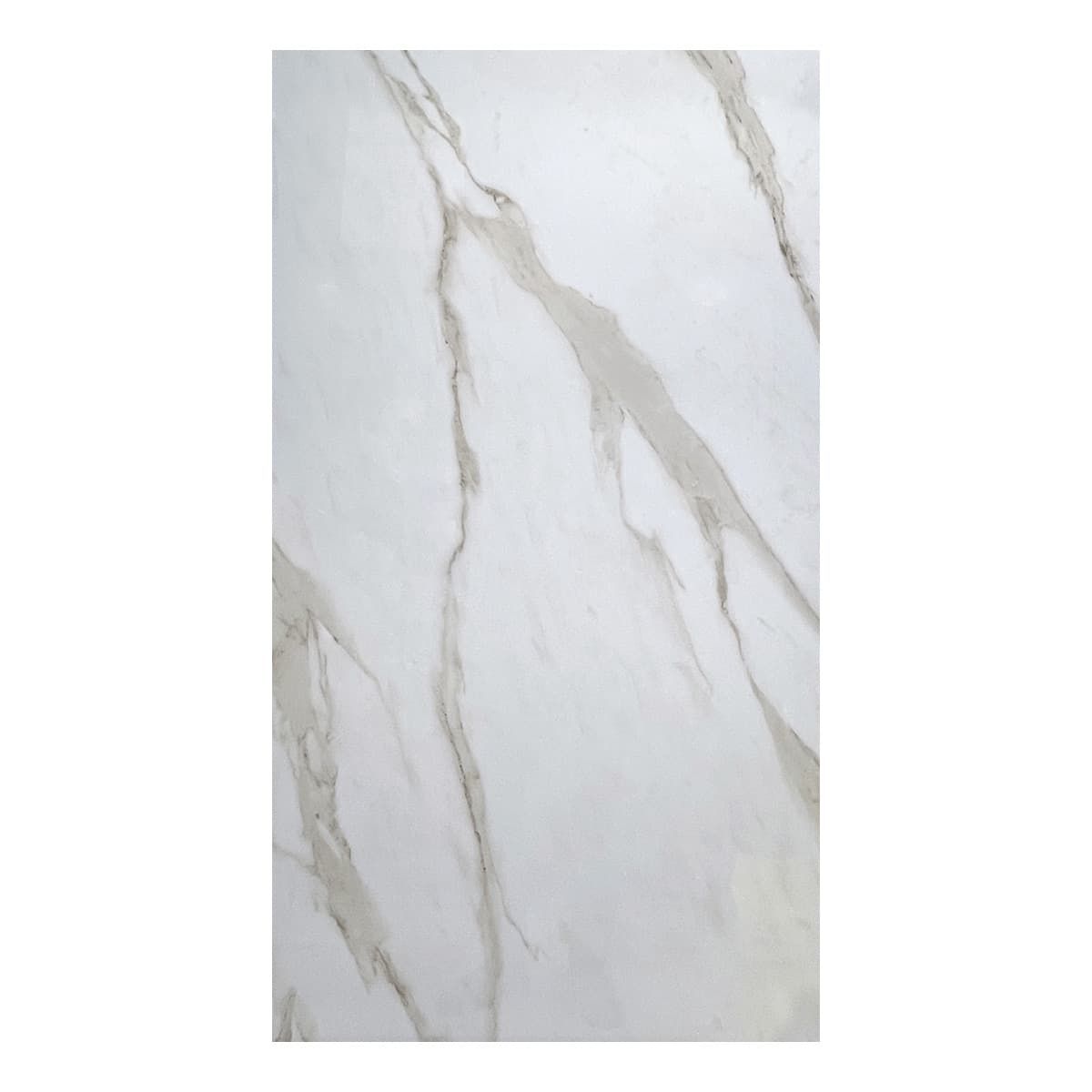 Product Image 8762000007251 (Slot 2)