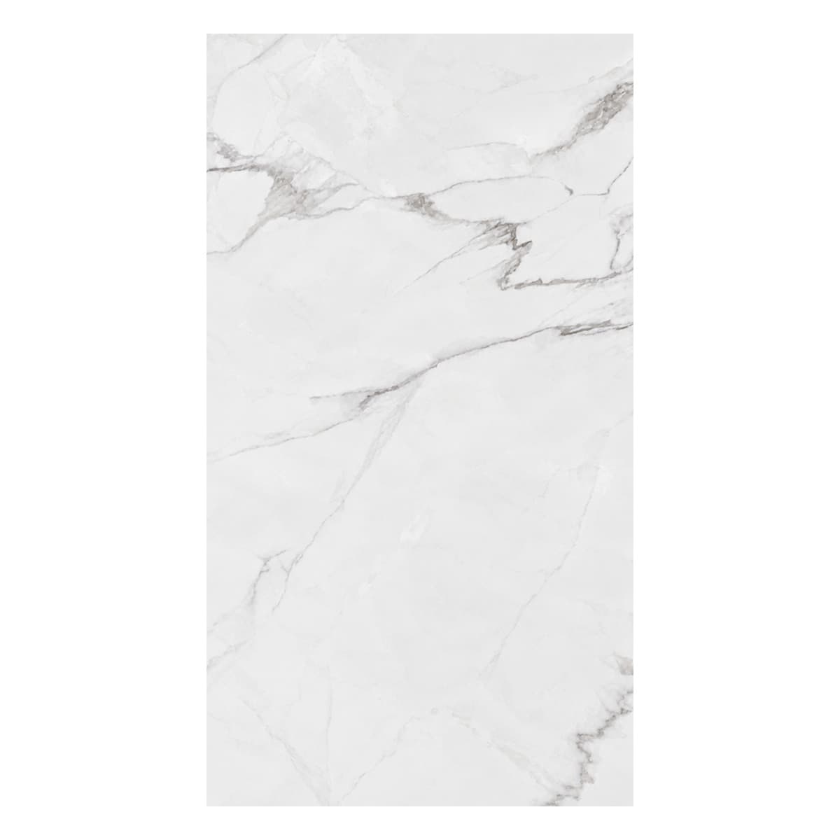 Product Image 8764000002564 (Slot 2)