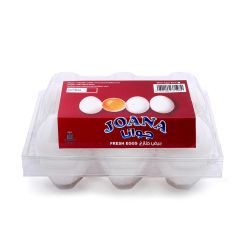 Rbtc Fresh Egg Qatar White 6Pcs