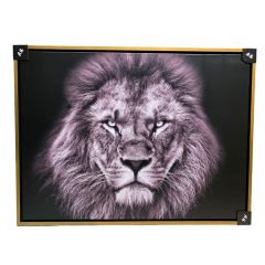 Lion Canvas Frame