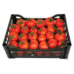 Tomato Box