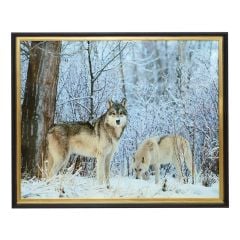 Animal Picture Frame 50x60Cm